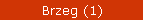 Brzeg (1)