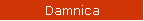 Damnica