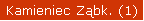 Kamieniec Ząbkowicki