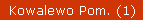 Kowalewo Pom. (1)