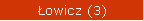 Łowicz (3)