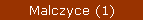 Malczyce (1)