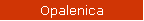 Opalenica