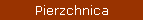 Pierzchnica