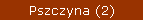 Pszczyna (2)