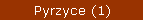 Pyrzyce
