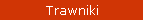Trawniki