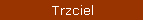 Trzciel