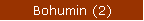 Bohumin (2)