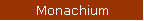 Monachium