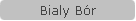 Bialy Bór