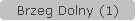 Brzeg Dolny (1)