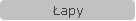 Łapy