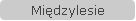Międzylesie