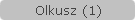 Olkusz (1)