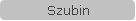Szubin