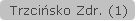 Trzcińsko Zdr. (1)