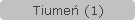 Tiumeń (1)